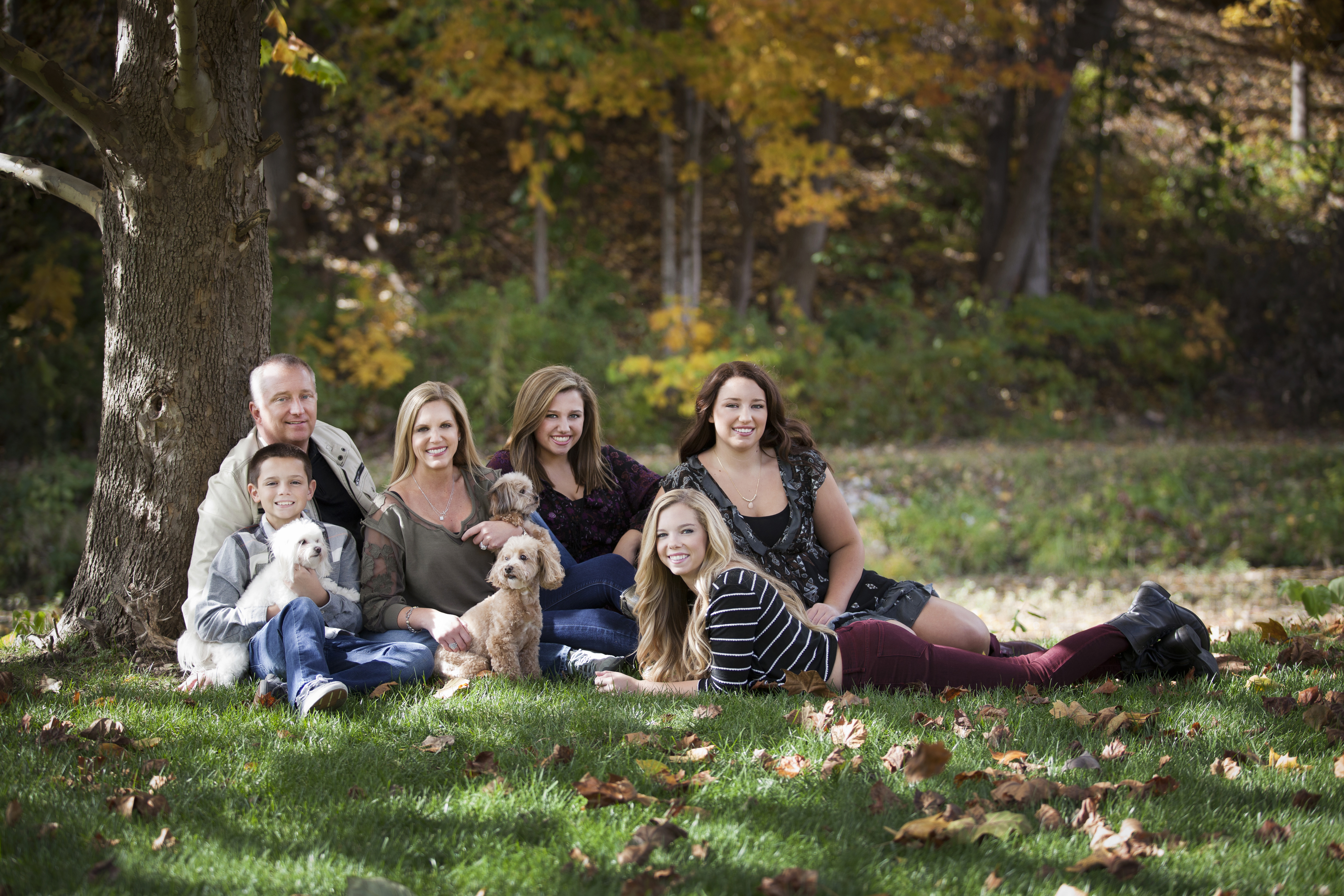 Comdent Dental Services
